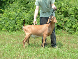 dscf0532.jpg