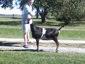 kora10-12-08.jpg