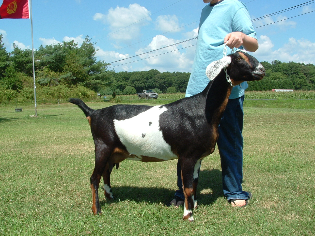 dscf0574.jpg
